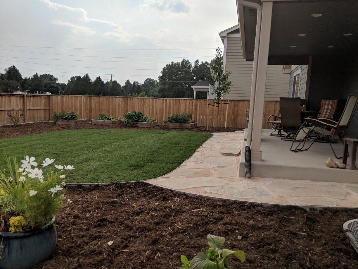 Barnwood and plant wall project 1