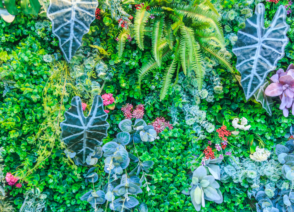 Custom living plant wall
