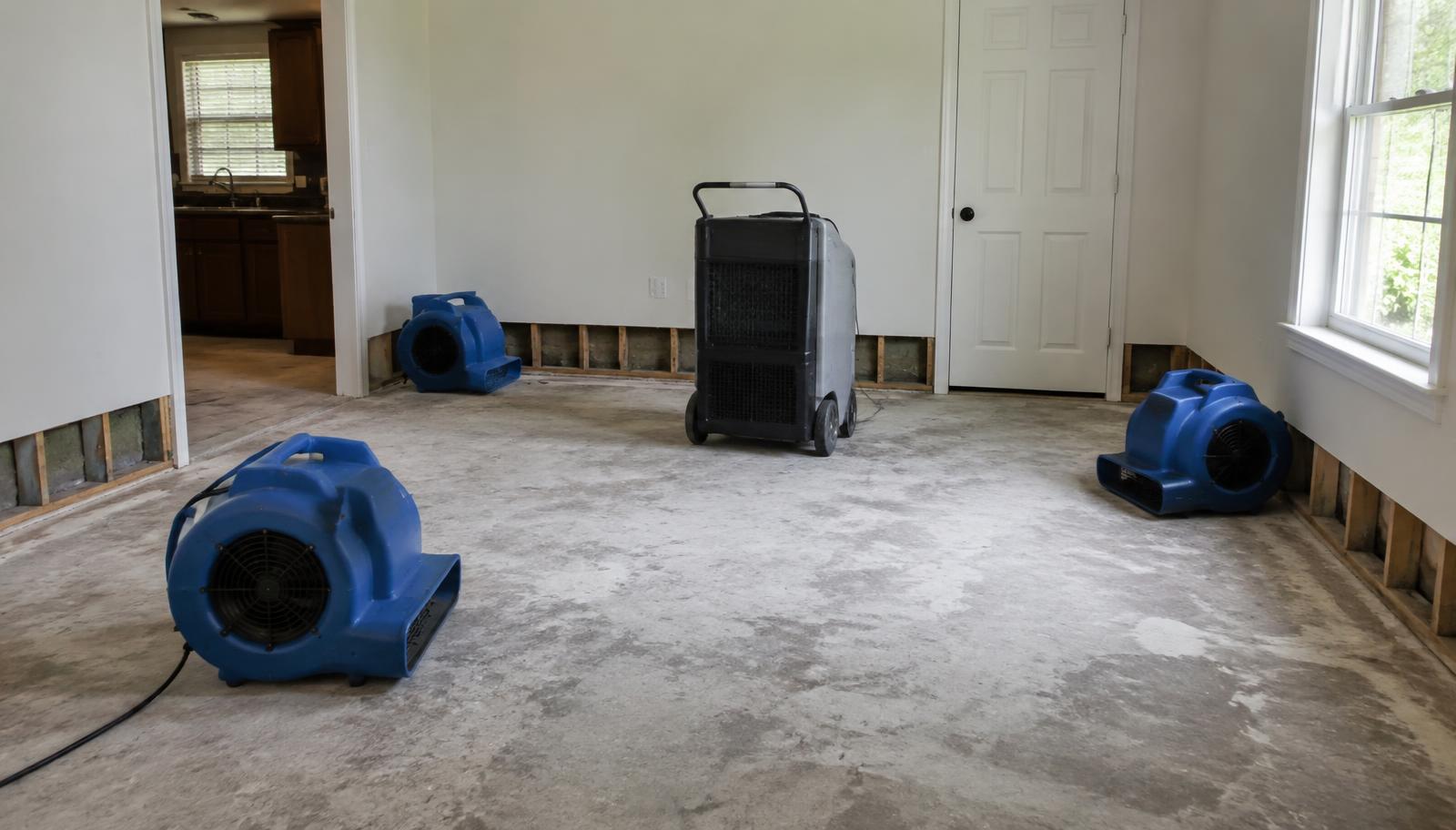 Insurance Restoration in Northern Colorado: What Homeowners Should Know